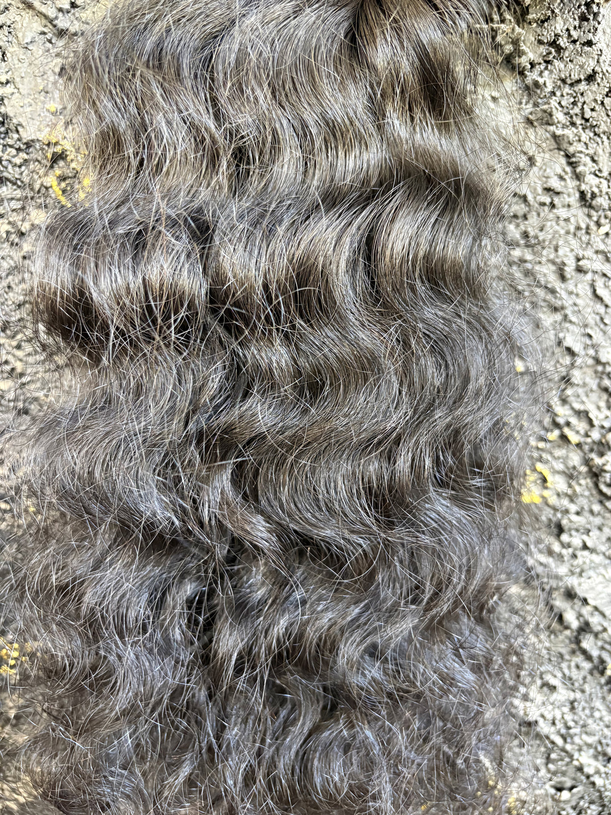 Loose Curly wavy human hair extensions laid flat on a rough concrete surface, showing dark brown to grayish-brown tones with natural texture and shine.